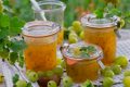 изумрудное варенье из крыжовника