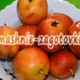 консервированные яблоки