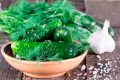 Как приготовить малосольные огурцы быстро