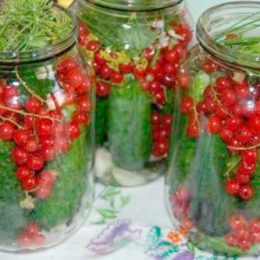 огурцы с красной смородиной